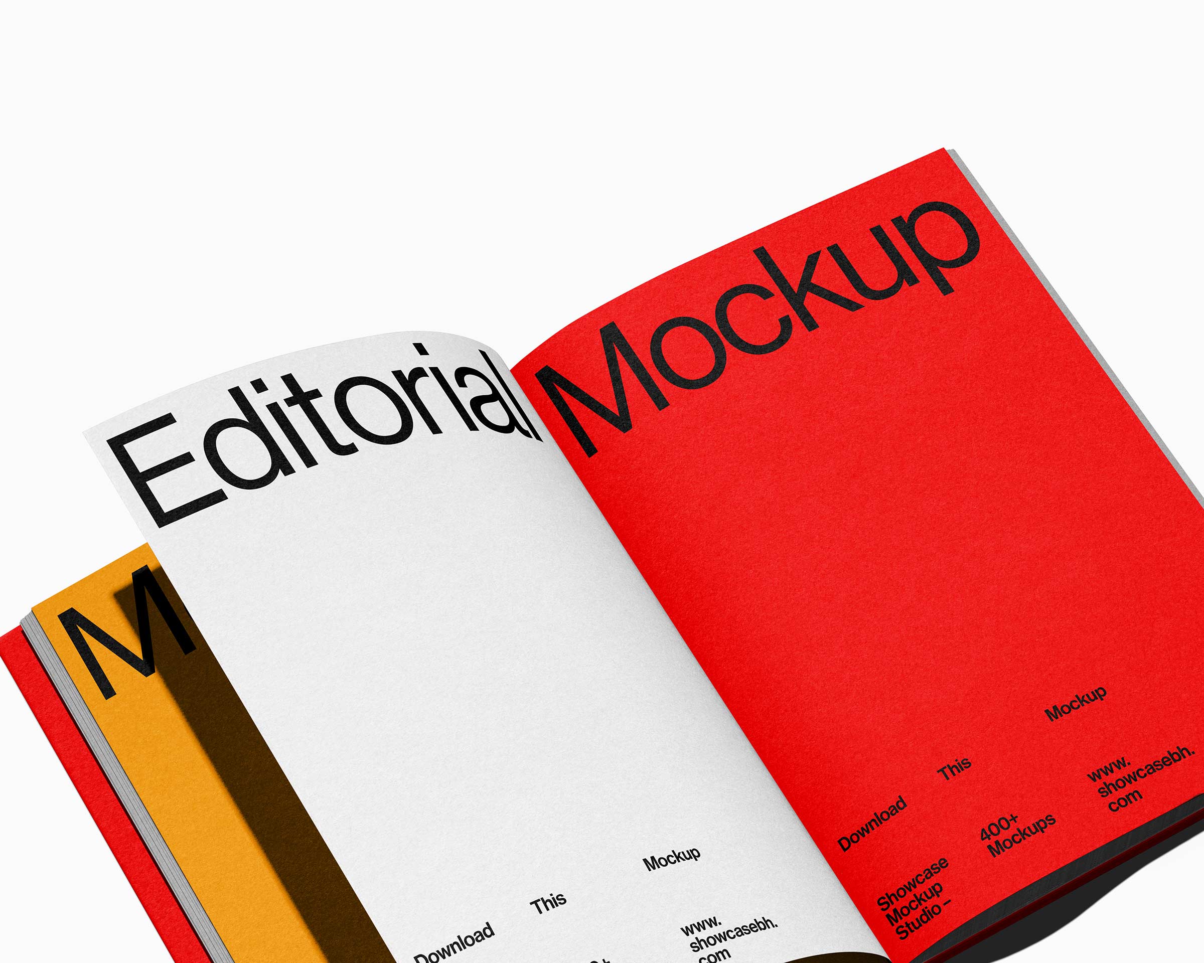 BF7_14_Book Mockup