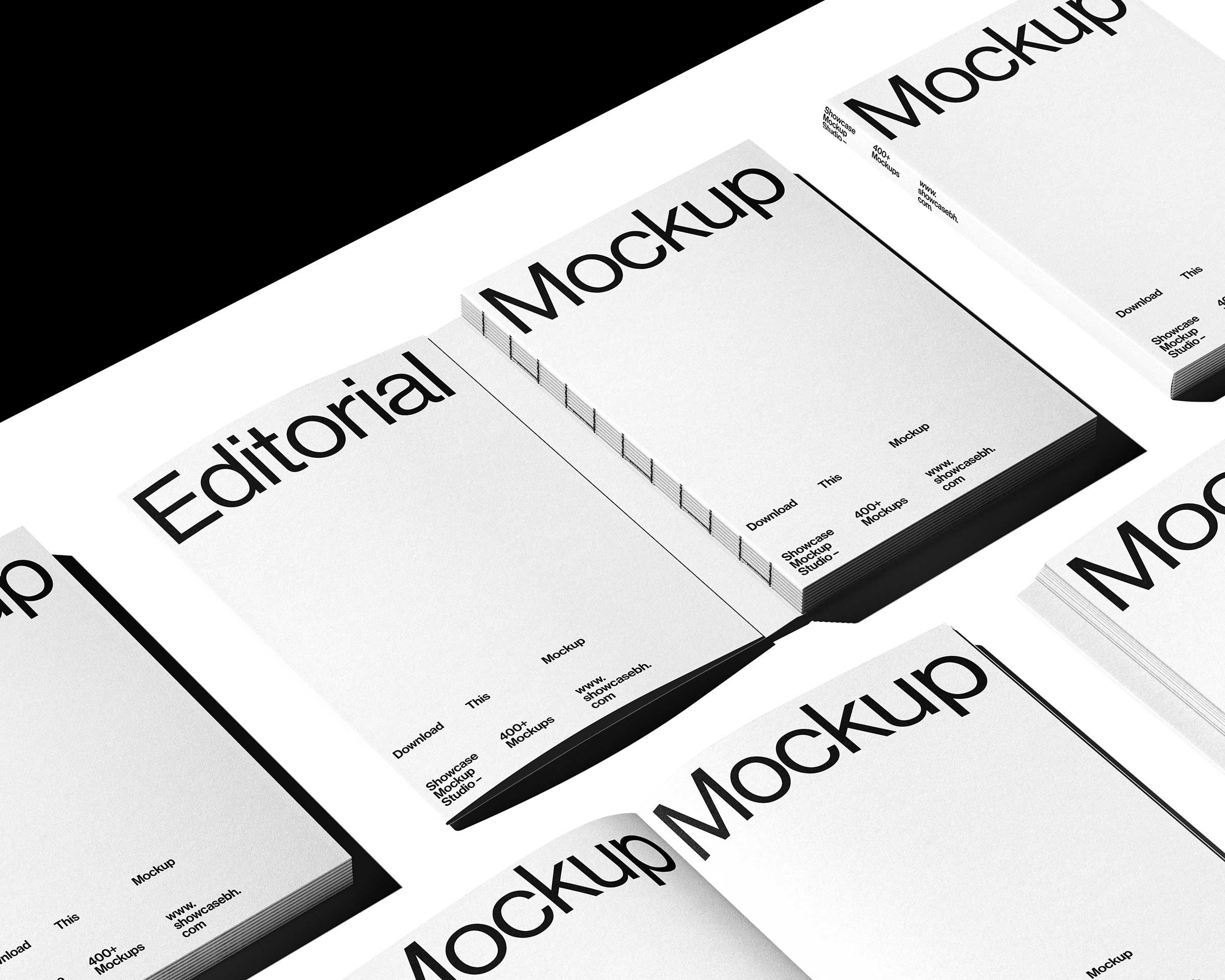 BF7_11_Book Mockup