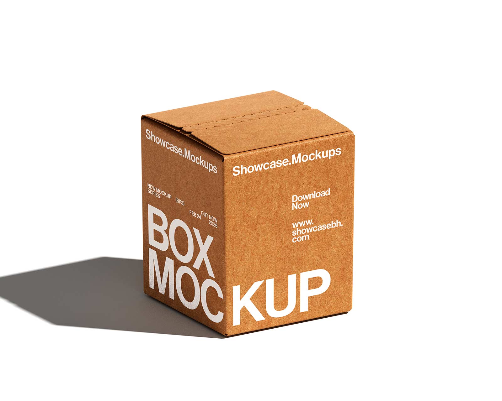 Bp3_Box Mockup_07
