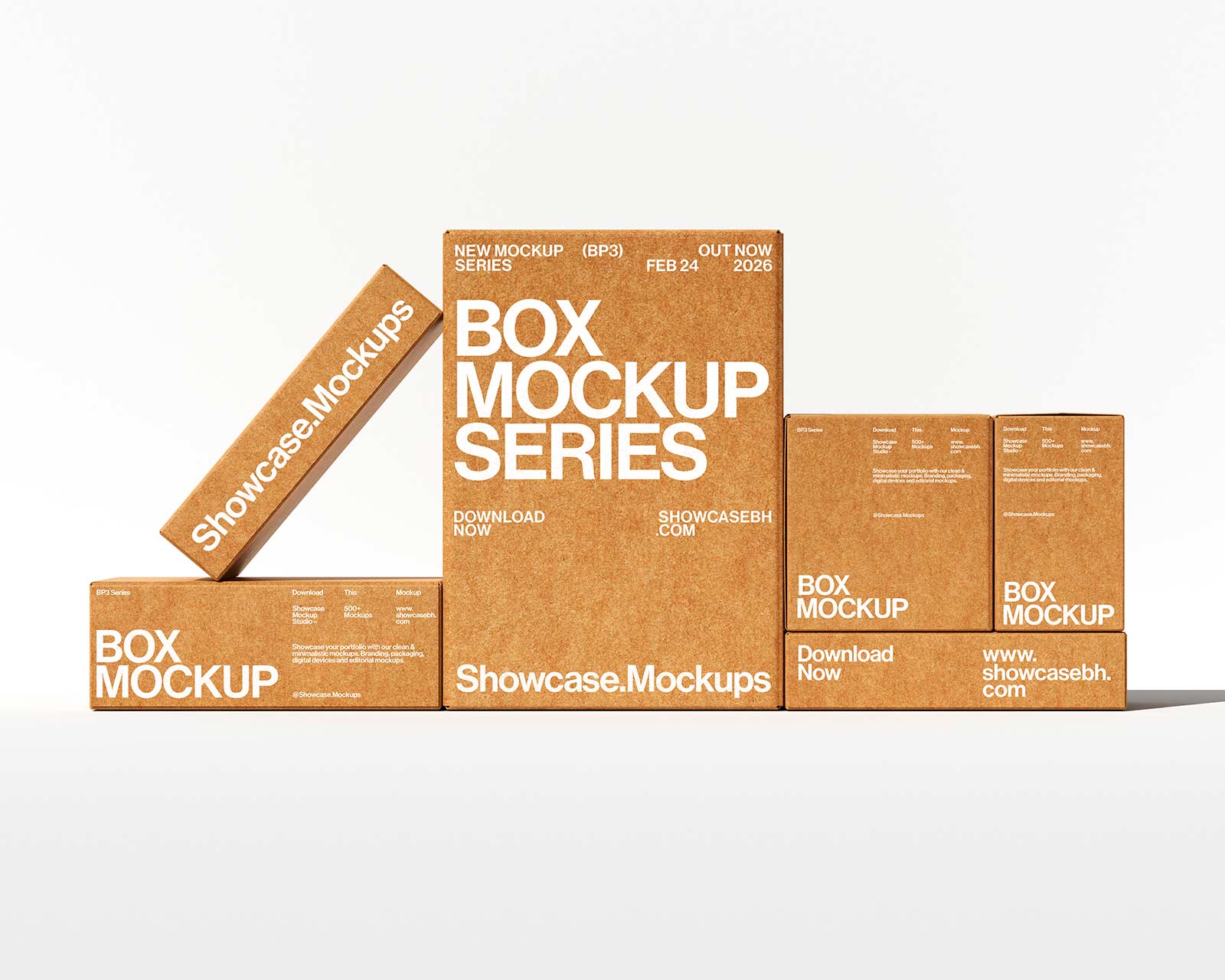 Bp3_Box Mockup Set_05