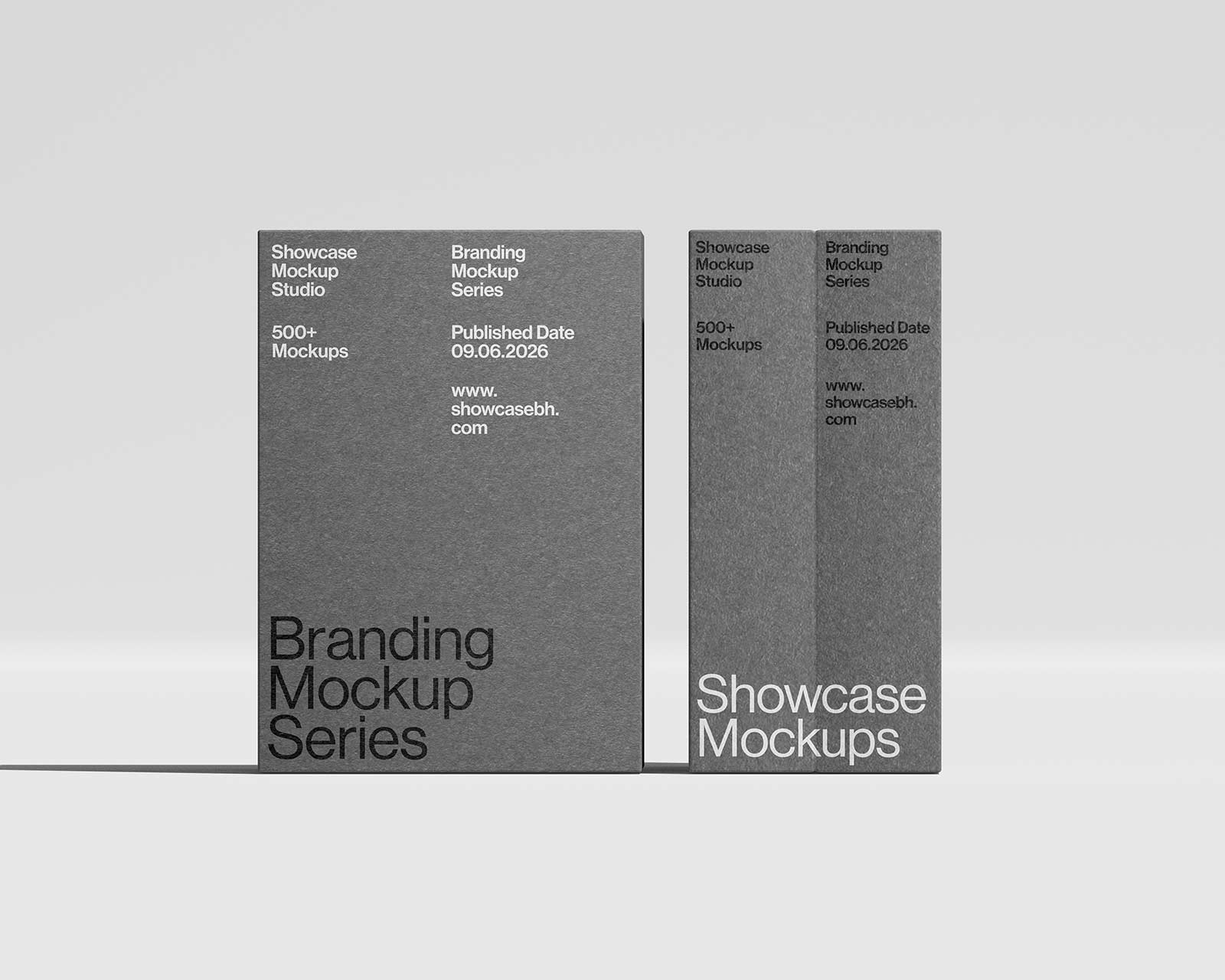 BR_10_Folder Mockup