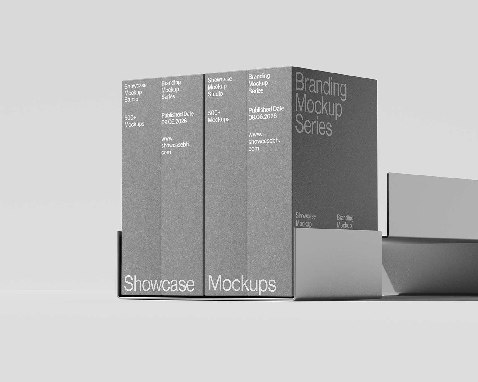 BR_12_Folder Mockup