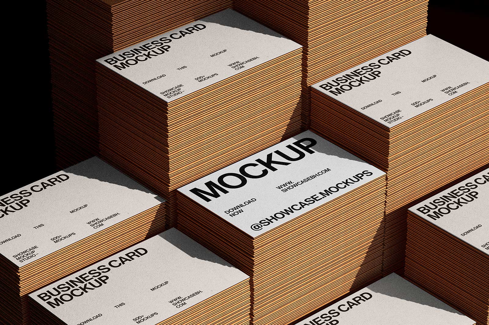 Business Card Mockup_01