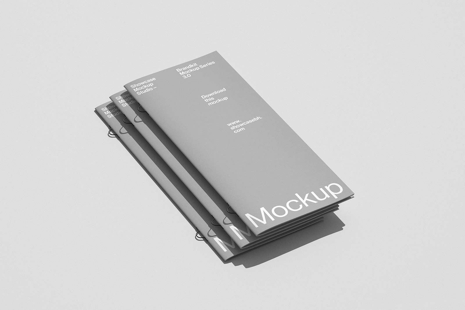 Brandkit314_Brochure Mockup