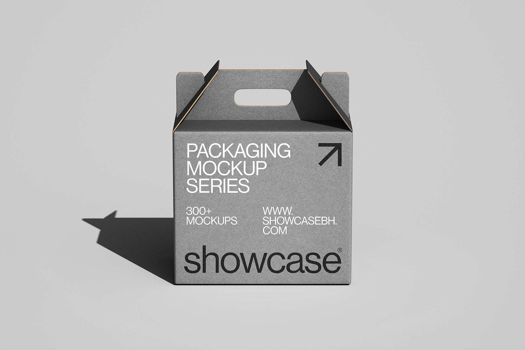 CG03_Packaging Mockup