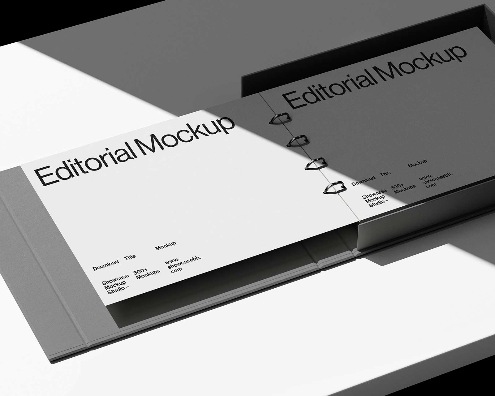 GBV2_06_Binder Mockup