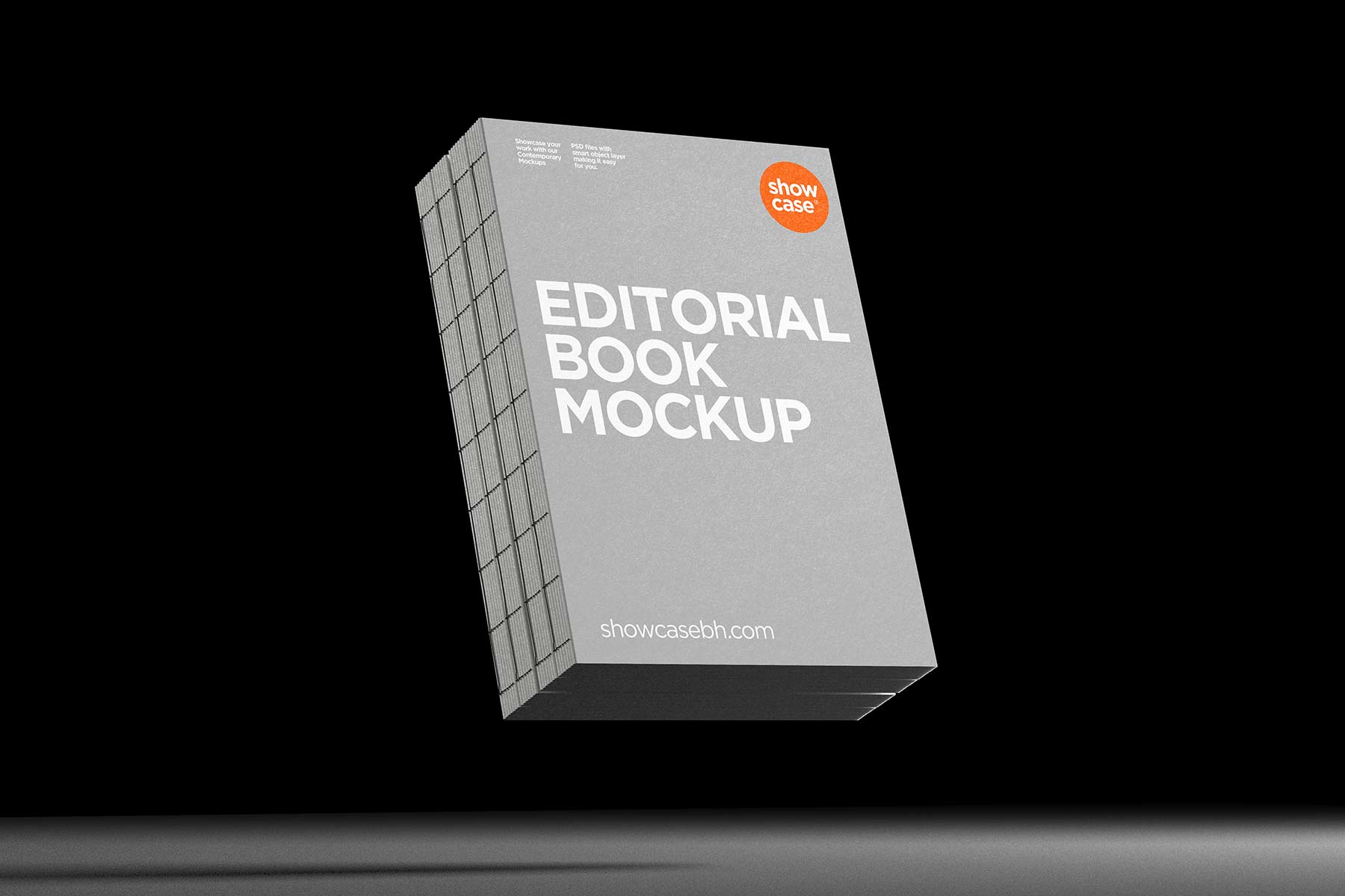 G03_Book Editorial Mockup